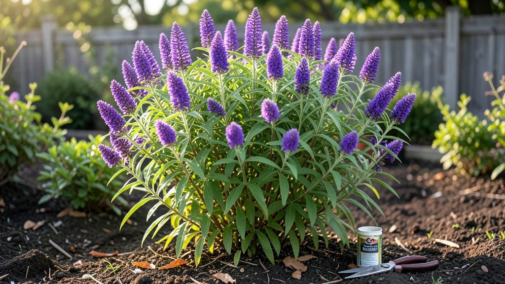 Summer Flowering Shrubs and Bushes: Season-Long Color With Pollinator Power